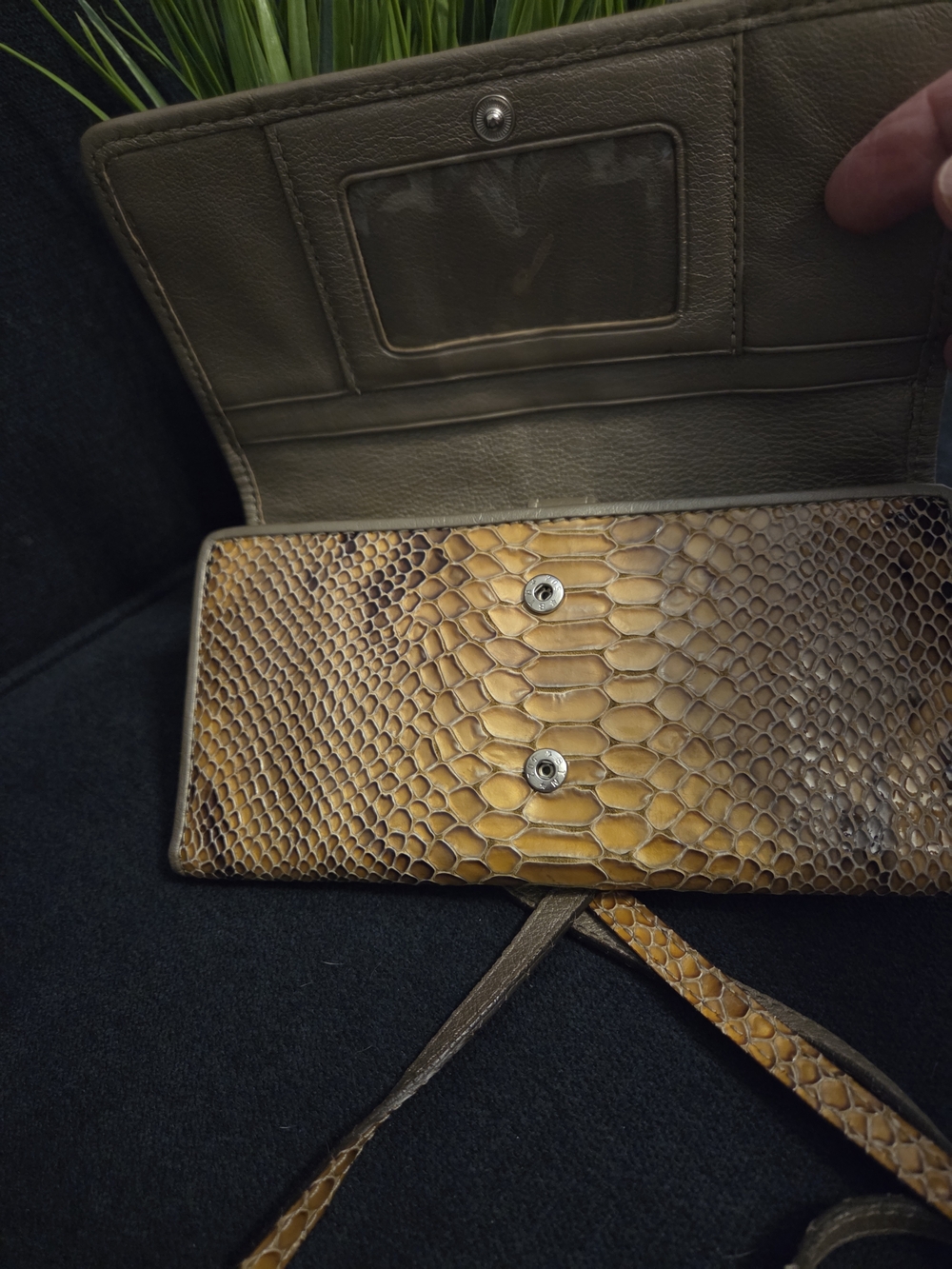 Brighton Gold Snake-Embossed Crossbody Wallet with Silver-Tone Accent - Picture 6 of 14
